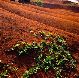 《女神异闻录3：Roload》将更容易提升社交等级